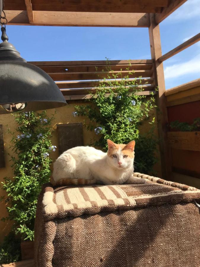 Riad Al Ibtikar Marrakesh Eksteriør bilde